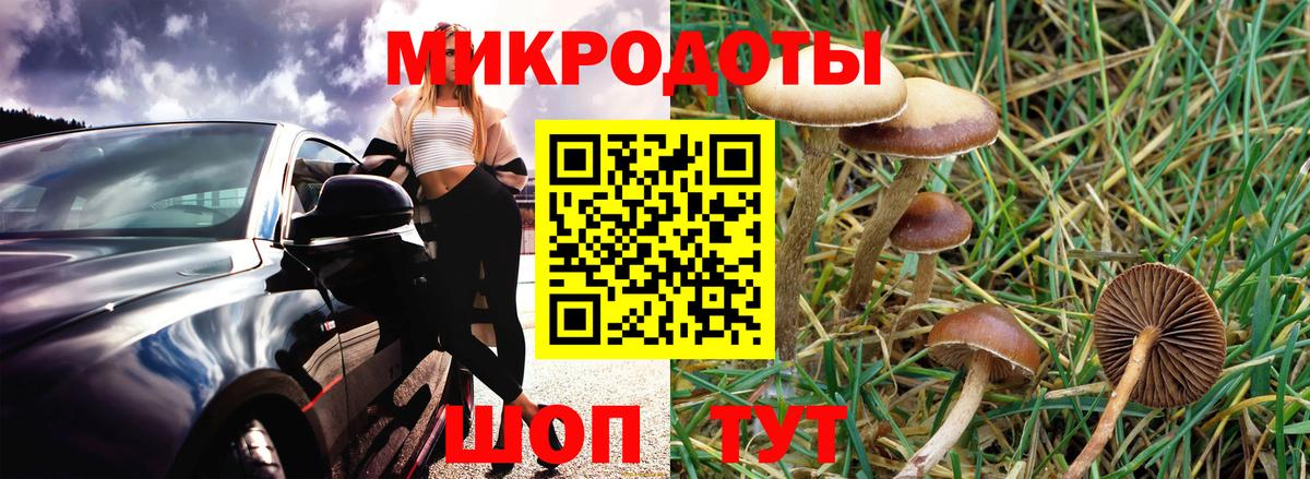 Псилоцибиновые грибы мухоморы Дзержинский